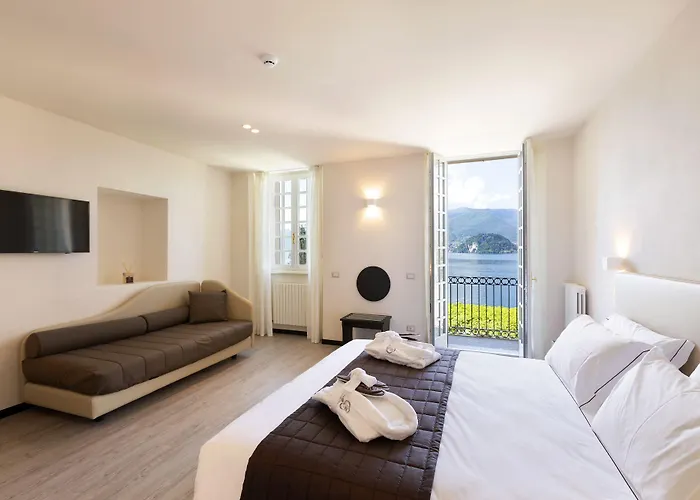 Cipressi, By R Collection